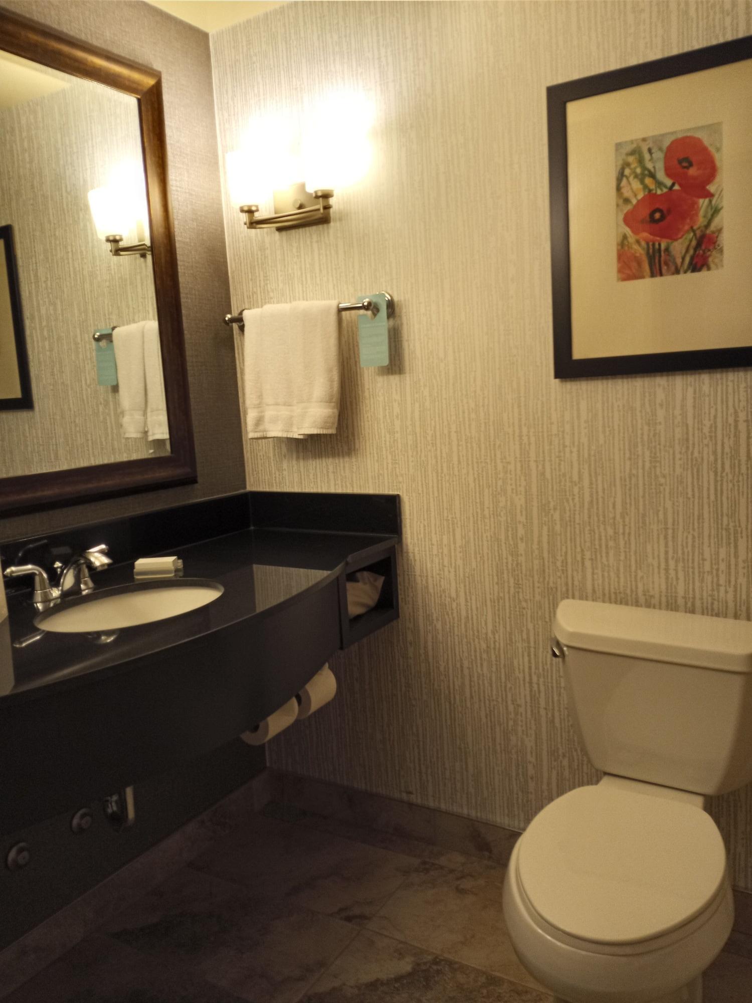 Hilton Garden Inn Calgary Airport מראה חיצוני תמונה